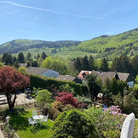 Villa Hills Hut Langelsheim Esterno foto