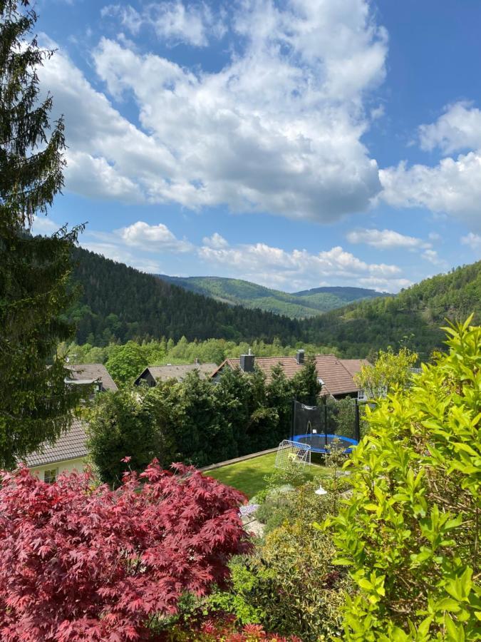 Hills Hut Holiday home *