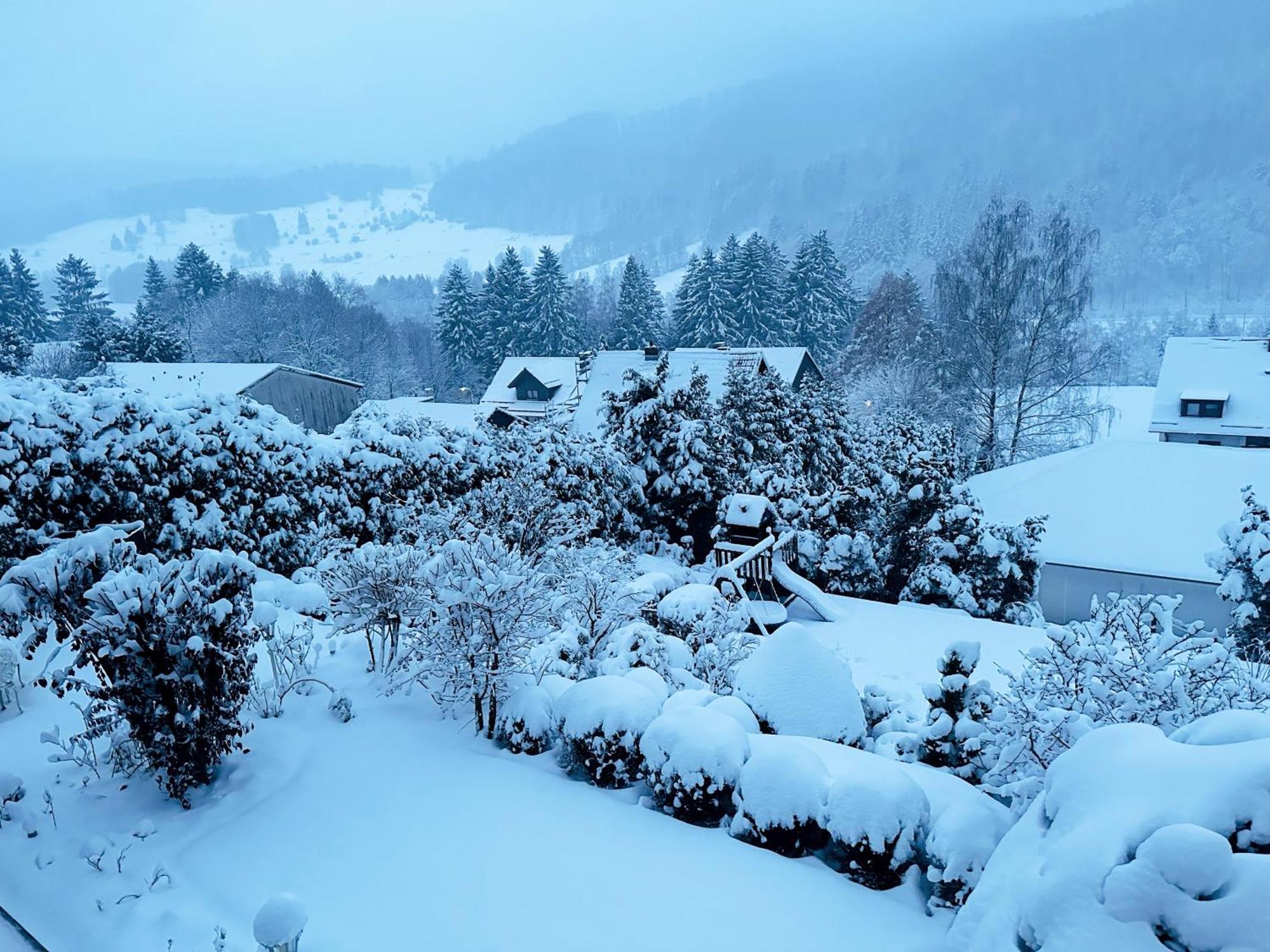 Hills Hut Holiday home Langelsheim